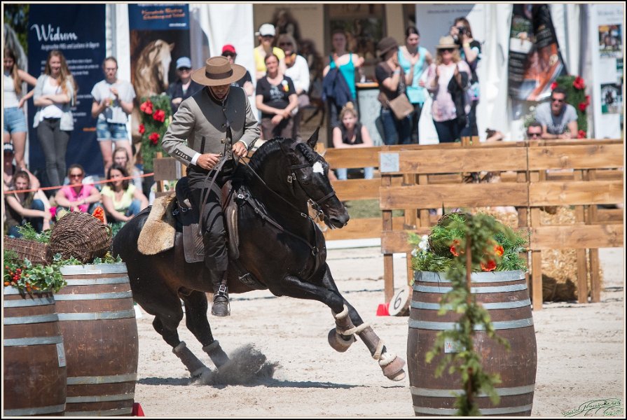Pferd International 184